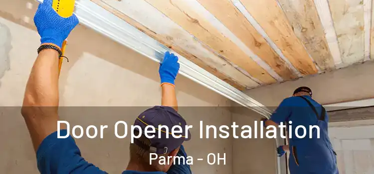  Door Opener Installation Parma - OH