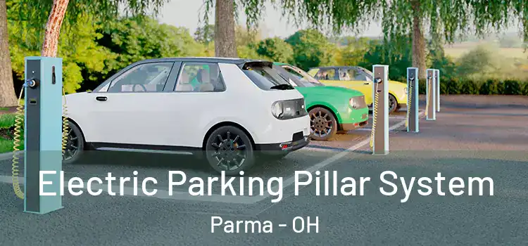  Electric Parking Pillar System Parma - OH