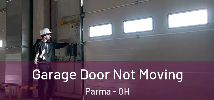  Garage Door Not Moving Parma - OH