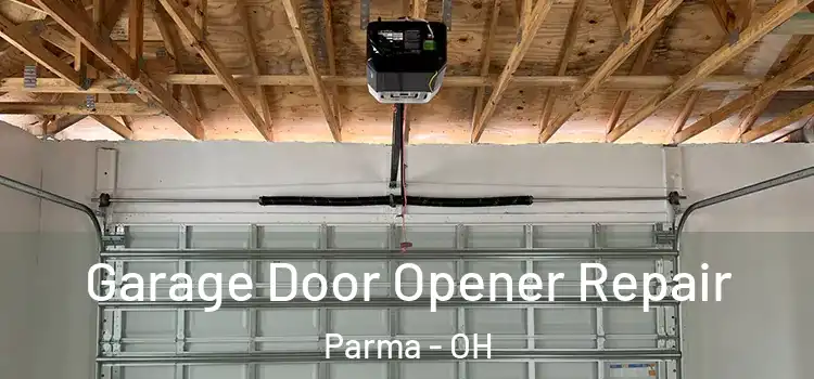  Garage Door Opener Repair Parma - OH