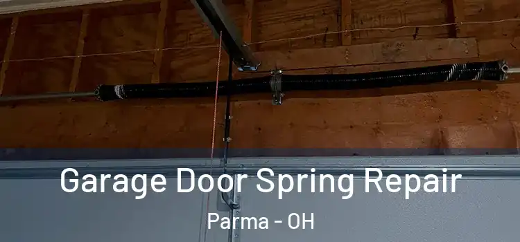  Garage Door Spring Repair Parma - OH