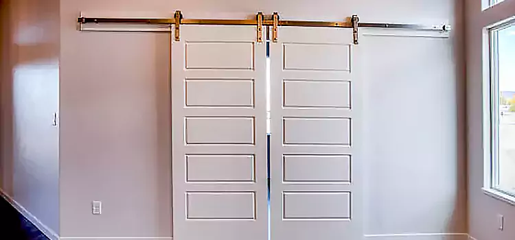 Glass Barn Door with Installation Hardware Kit Parma