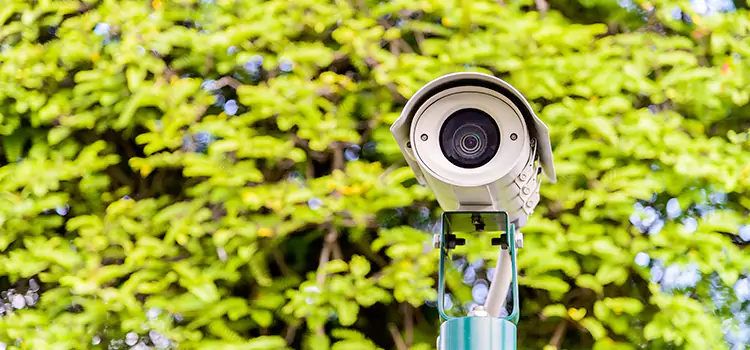 Advanced Surveillance Solutions for Every Need in Parma
