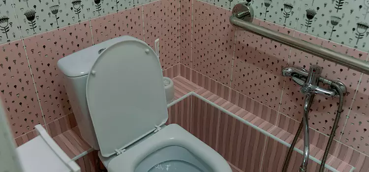 Meeting Diverse Needs With Accessible Restroom Solutions in Parma, OH