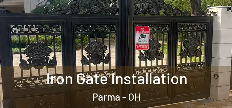 Iron Gate Installation Parma - OH