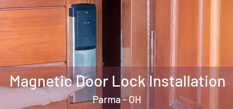  Magnetic Door Lock Installation Parma - OH