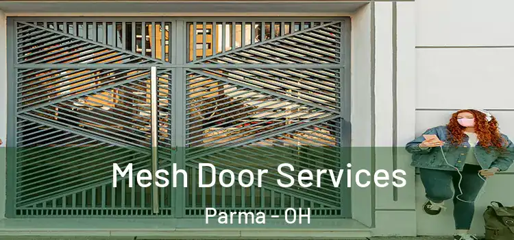 Mesh Door Services Parma - OH