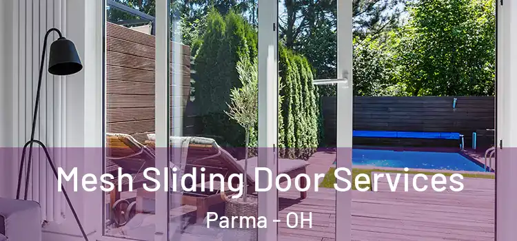  Mesh Sliding Door Services Parma - OH