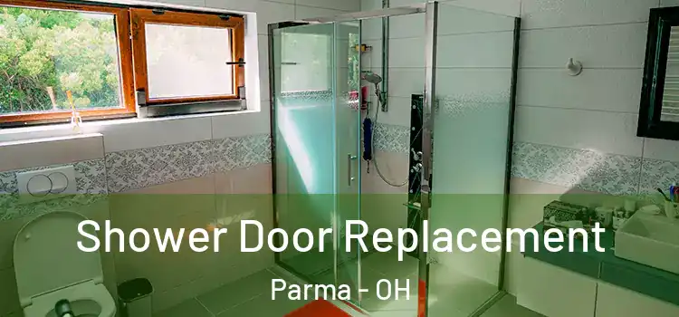 Shower Door Replacement Parma - OH