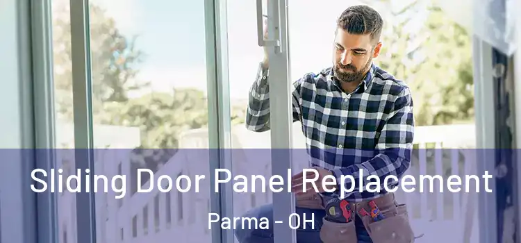  Sliding Door Panel Replacement Parma - OH