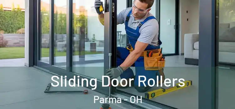  Sliding Door Rollers Parma - OH