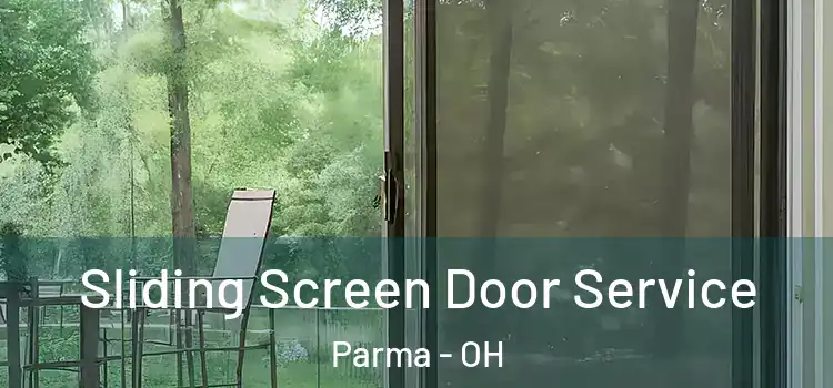 Sliding Screen Door Service Parma - OH