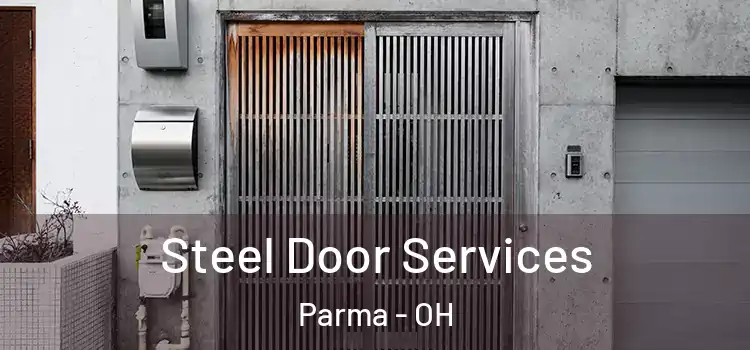  Steel Door Services Parma - OH